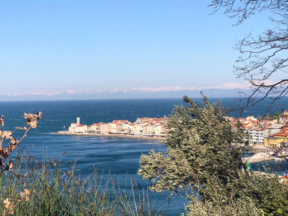 Apartment Modrin Piran Exteriér fotografie