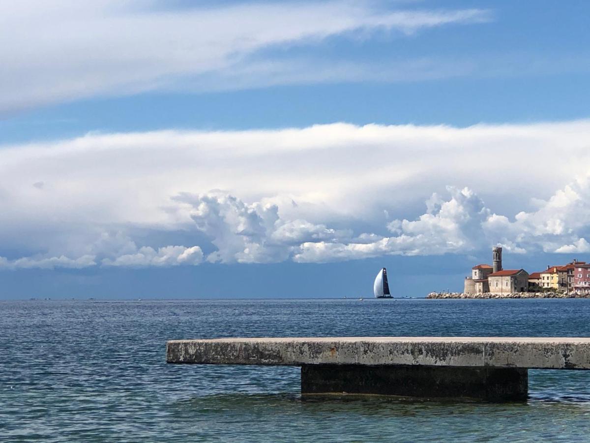 Apartment Modrin Piran Exteriér fotografie