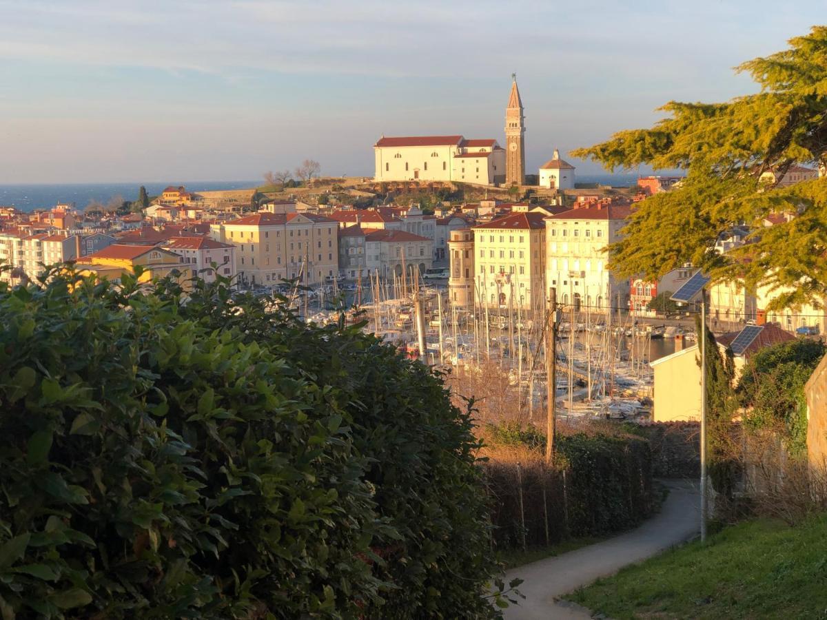 Apartment Modrin Piran Exteriér fotografie