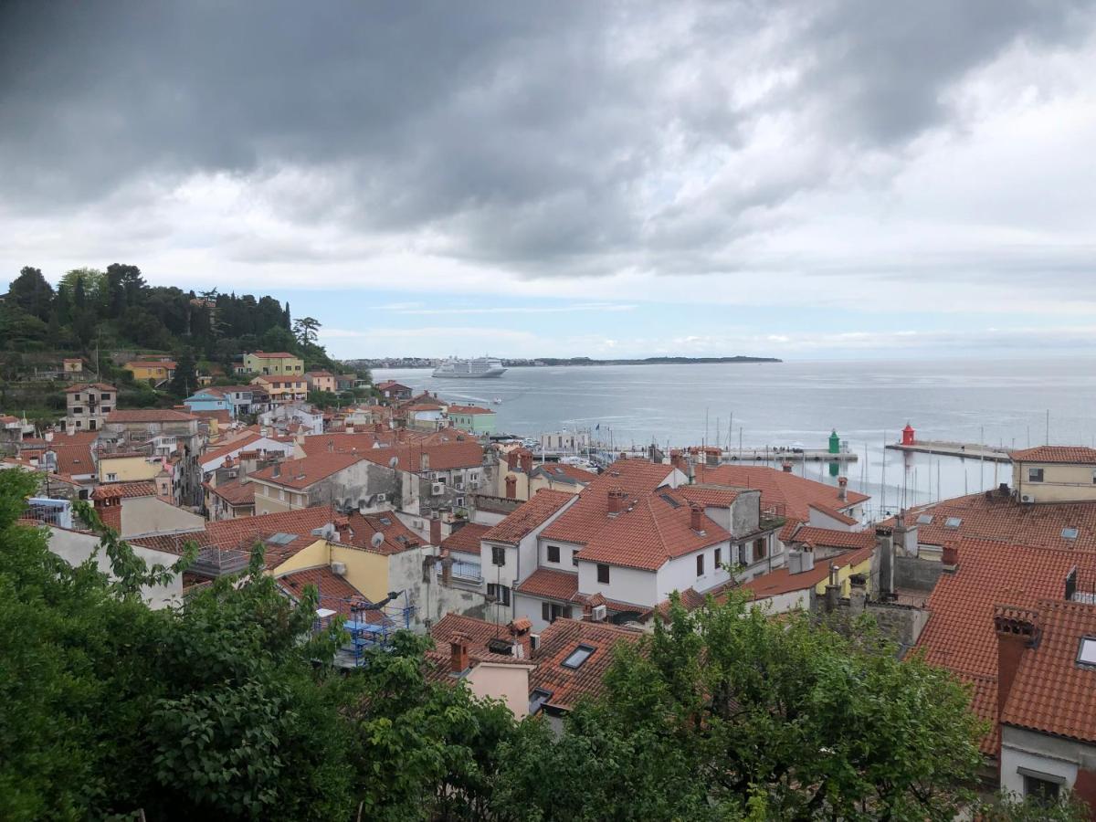 Apartment Modrin Piran Exteriér fotografie